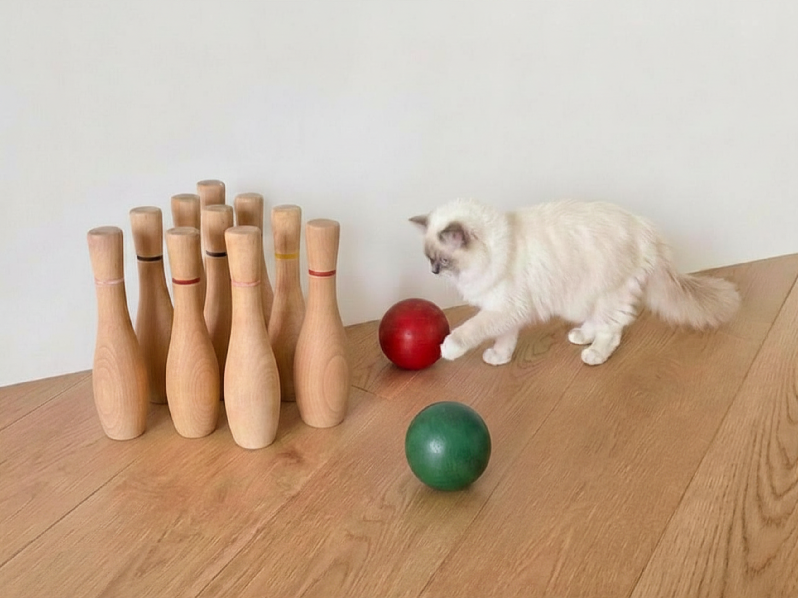 Bowling Set Indoor Lifestyle 3